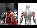 أفضل تمارين الترايسبس لتوسيع ترايسبس بسرعة triceos workout