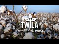 TWILA— October 18, 2024