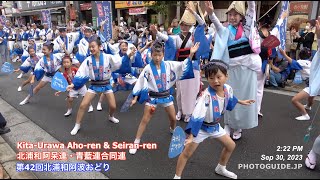 Kita-Urawa Awa Odori 2023 第42回北浦和阿波おどり