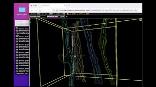 Downsampling, Meshing, and Skeletonizing with Igneous