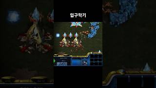 질럿으로 입구 막아드렸습니다.#스타크래프트 #프프전 #프로토스 #games #gaming #starcraft #gameplay