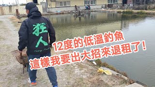 【福壽魚之章-當日上片】12度的低溫，只好拿出絕招來退租了！！😏😏