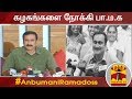 கழகங்களை நோக்கி பா.ம.க | PMK Alliance | Anbumani Ramadoss | Parliament Election