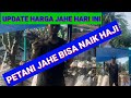 UPDATE HARGA JAHE HARI INI || TOKO HERBAL SUMATERA