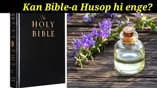 Kan Bible-a Husop hi enge anih?