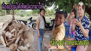 น้องเยี่ยมได้เห็ดปลวกมาฝาก เกิดอะไร่ขื้นกับน้องดำ