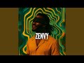 Zenvy