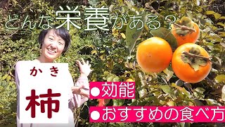 柿の栄養価・効能・おすすめの調理法を管理栄養士が解説