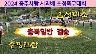 충북일반 결승 음성대소(성민재) vs 증평인삼 (신동주) / 2024 충주사랑 사과배 초청족구대회 #할리족구 #족구대회 #족구