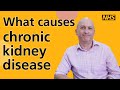 What causes chronic kidney disease?