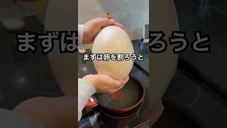 巨大卵かと思ったらマネキンの頭頂部だった #shorts #おもしろ動画 #funnyvideo #やってみた