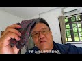 拿波伦 vlog78 姆鲁山之旅 上集 大家一定要去姆鲁山啊！ （原来跟安迪一起旅游也很好玩）😂😂😂