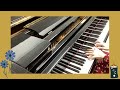 苏诗丁 红雪花 电视剧 凭栏一片风云起 l defying the storm ost piano cover by k