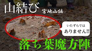 ＜山結び＞宮地山 ｰ 第2回 - 落ち葉ダムで山頂をうるおす