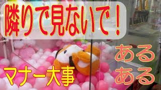 クレーンゲーム中は横で見ないで！【ぽてうさろっぴーハロウィンＪＢ】