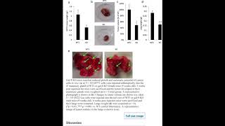 The Animal Lectin Galectin-8 Promotes Cytokine Expression and Metastatic Tumor Growth in Mice