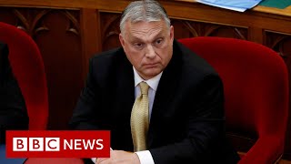 Hungary PM Viktor Orban's adviser resigns over 'pure Nazi' speech - BBC News