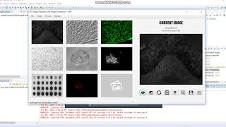 (OLD) Image Processor Java Program with ImageJ Framework Testing