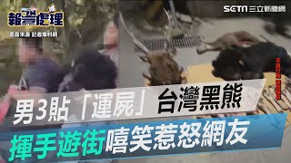 影片曝光看了拳頭超硬！男3貼「運屍」台灣黑熊　揮手遊街嘻笑惹怒網│政常發揮