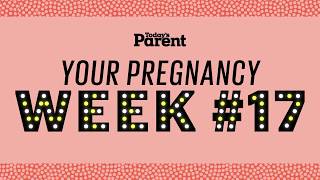 Your pregnancy: 17 weeks