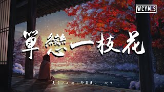 夏了个天呐 (朴昱美) \u0026 七夕 - 单恋一枝花(翻自 张宇)【動態歌詞/Lyrics Video】