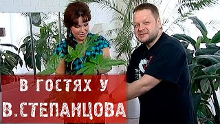 САДОВЫЕ ИСТОРИИ В ГОСТЯХ У ВАДИМА СТЕПАНЦОВА!