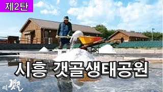 랜선힐링여행, 145만평 시흥갯골생태공원, 서울근교 가볼만한곳 강추, 마당 빗자루 만드는 \