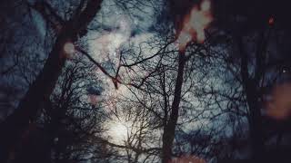 The Light You Left Behind