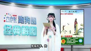 第205期 --【新澳门跑狗图】西施带你一一解图，紧跟西施的精准解码😎✨