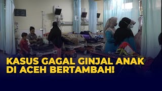 Kasus Gagal Ginjal Akut pada Anak di Aceh Bertambah: 29 Kasus, 21 Meninggal Dunia