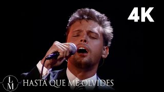 Luis Miguel - Hasta Que Me Olvides (En Vivo) [Video Oficial 4K]