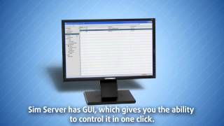 What is a SIM Server and Graphic User Interface?