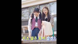 아이브 리즈 장원영 토끼 처음보는 녕토끼 (Feat. 깜토끼)