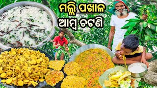 ମଲ୍ଲି ପଖାଳ, ଆମ୍ବ ଚଟଣି, ଅଣ୍ଡା ଭଜା, ସଜନା ଛୁଇଁ ଆଳୁ ବେସର ଭଜା || Complete ପଖାଳ କଂସା || Pakhala Egg Amlet