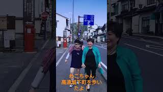 重度知的障害のわこちゃんと全国を歩いています！　長野県の高遠城下町を歩いたよ！