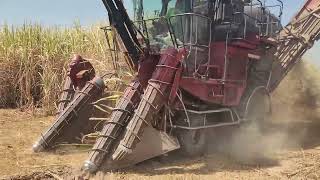 รถตัดอ้อย Case IH รุ่น A8010 ต้องมี 13 ล้าน ถคงได้เป็นเจ้าของได้.. #ไร่ทองกิมหวนบุรีรัมย์