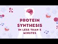 PROTEIN SYNTHESIS (TRANSCRIPTION & TRANSLATION) IGCSE Revision - 5 minute Biology!