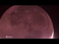 watch stunning footage captures meteorite impact on the moon by japenes astronomer