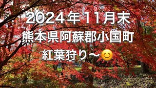 【九州drive】2024年11月末🚙💨熊本県阿蘇郡小国町✨紅葉狩り〜🍁🤗