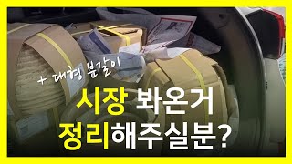 [식물가게vlog]식물사러 시장다녀오고 정리하기, 대형분갈이, 배송 성공적