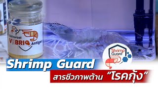 ShrimpGuard สารชีวภาพต้านโรคกุ้ง