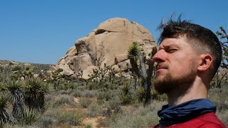 Dykumom ir kanjonais: Joshua Tree nacionalis parkas