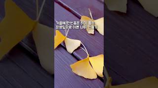 🍁✨은행잎으로 나비를 만들어요! ✨🍁