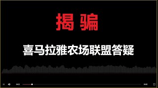 揭骗：点评喜国诈骗农场草根小哥今晚的答疑，另谈谈黑帮律师张勇兵及无脑JESSICA G