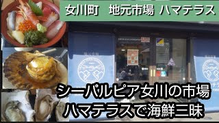 【女川町のハマテラスでランチ】女川町のハマテラスで海鮮三昧。