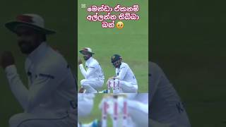 🥹ඒක ඇල්ලුවනම් මෙච්චර දෙයක් වෙන්නේ නෑ 🥹SL vs aus test #trendingshorts