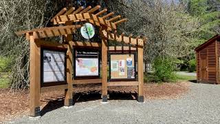 Lake Wilderness Arboretum Foundation | Showcasing the Beauty of the Arboretum