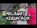 MELAWAT SAMBIL MELIHAT-LIHAT HASIL KEBUN ADIK