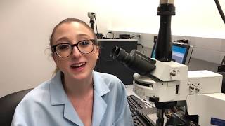 Cornell BME Undergraduate Spotlight: Hannah Childs