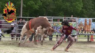 SE LO QUERIA TRAGAR EL TORO !!! LOS TOROS TOXICOS EN NEW JERSEY